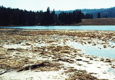 Bourgeau Lake